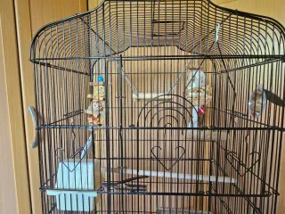 Jaula para pájaros negra y marrón