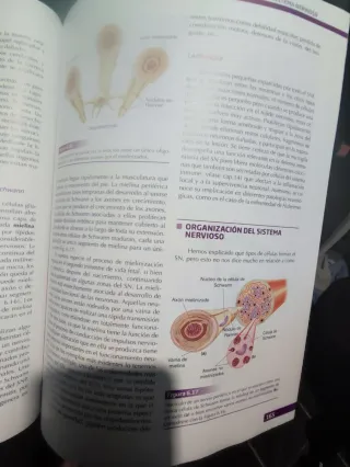 Libro Psicobiologia fundamentos