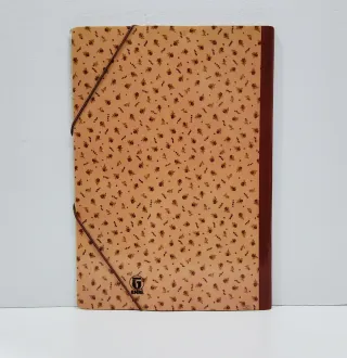 CARPETA CLASIFICADORA ESTHER BOOPS-ALMACEN-ENVIO