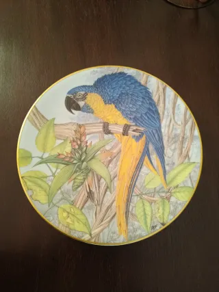 Prato antigo "Arara de Garganta Azul"