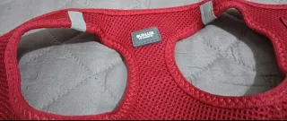 Pettorina SUNLUX per cani piccoli