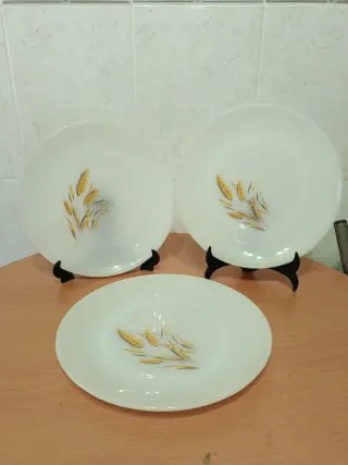 Conjunto Loiça Vintage Espigas Douradas