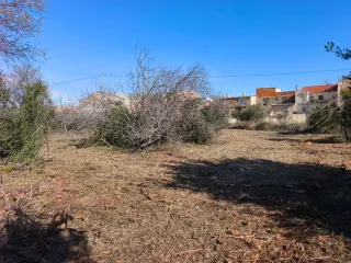 Alquiler de terreno rustico de 2.107mts cuadrados.