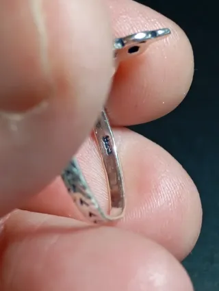 Anillo Serpiente Plata de Ley