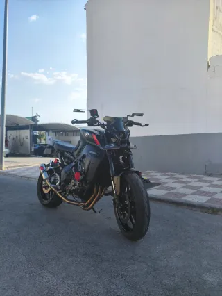 Línea completa Dominator GP Yamaha MT09