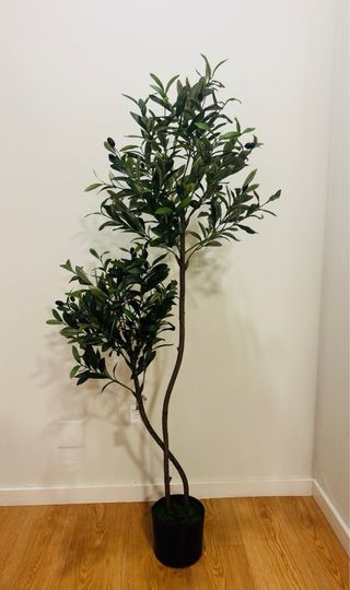 Oliveira artificial decorativa