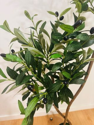 Oliveira artificial decorativa