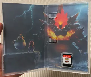 Super Mario 3D World + Bowser's Fury Switch