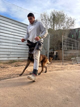 Adiestramiento canino, paseos y guardería .