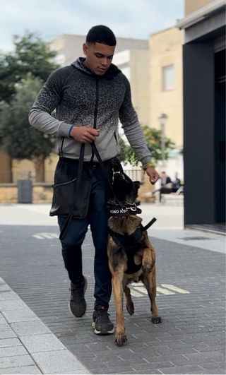 Adiestramiento canino, paseos y guardería .
