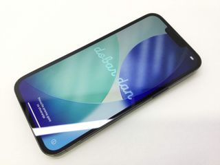 apple iphone 13 pro max 1tb