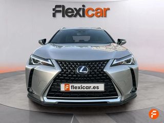 Lexus UX 2.0 250h Business