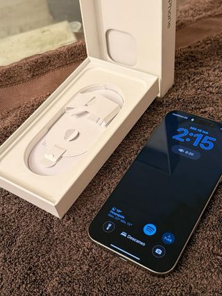 iPhone 16 Pro Max 256 GB Plata