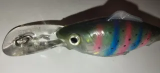 Señuelo de pesca realista