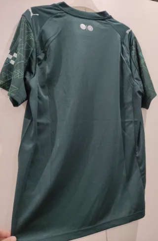 Camisola Manchester City 25/26 L