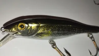 2 Señuelos de pesca