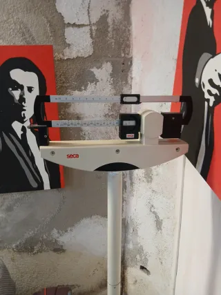 Báscula romana de consulta