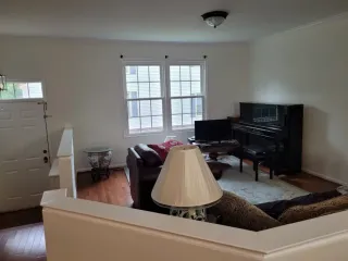 Servicios de pintura profesional pintor