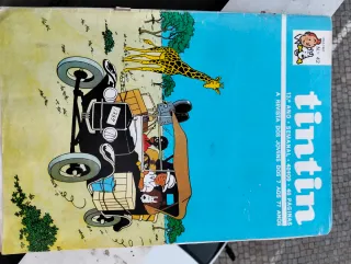 Vários livros do Tintin
