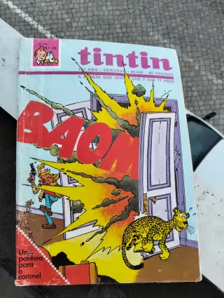 Vários livros do Tintin