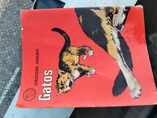 Livro coleção esquilo gatos