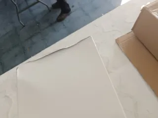 Tapa para colector de fontanería blanca