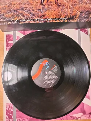 Disco vinile LP 33 giri - Pink Floyd