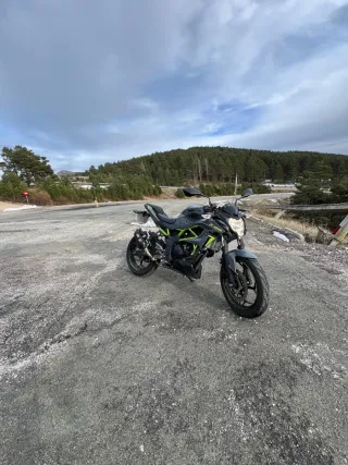 Kawasaki Z 125 Naked.