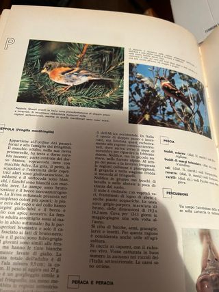 Enciclopedia del cacciatore fine anni 60