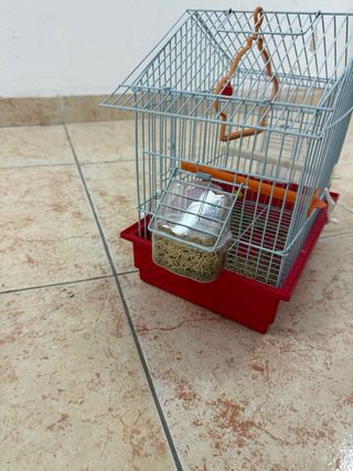 Jaula pequeña para pájaros Completa con accesorios
