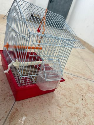 Jaula pequeña para pájaros Completa con accesorios