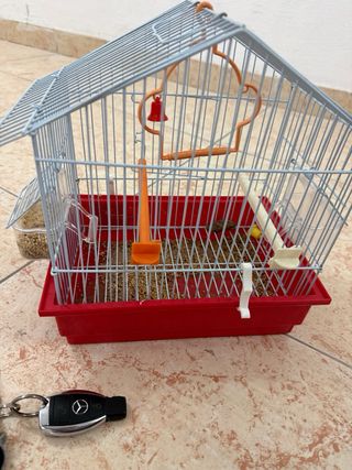 Jaula pequeña para pájaros Completa con accesorios