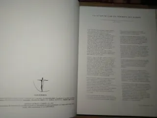 CÓMIC NOVELA GRÁFICA LEON DODERLIN