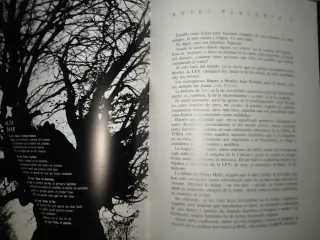 CÓMIC NOVELA GRÁFICA LEON DODERLIN