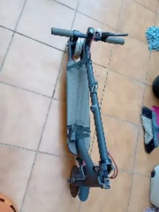 Patinete Eléctrico Xiaomi