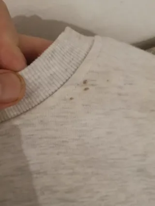 Sudadera gris con estampado japonés