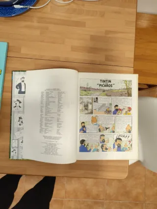 Tintín y los Pícaros (cartoné)