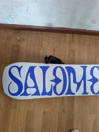 Salomon Assassin 163W Snowboard