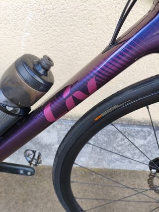 Bicicleta de carretera Liv morada