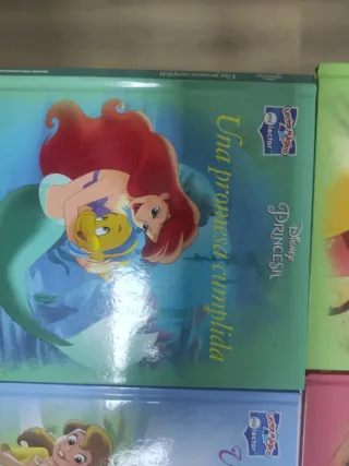 Set di 6 libri sulle principesse Disney