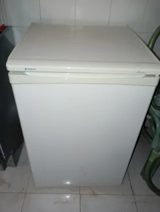 Frigorífico pequeño Edesa