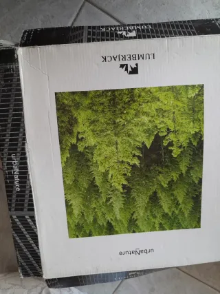 Scarponcini Lumberjack beige/nero donna