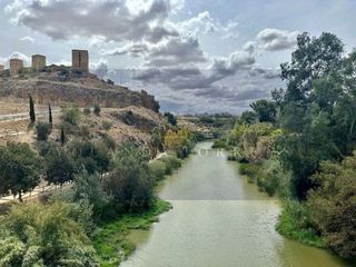 Local comercial en venta en Centro en Alcalá de Guadaira