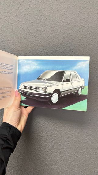 Manual instrucciones Peugeot 309 con funda
