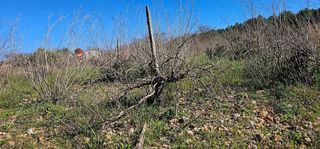 Terreno en venta en Alaró