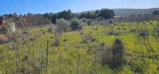 Terreno en venta en Alaró