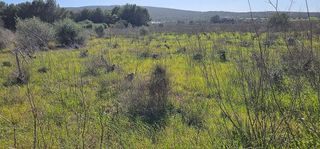 Terreno en venta en Alaró