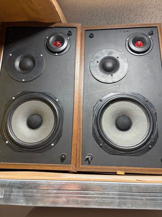 Giradischi Dual e Amplificatore Cervia