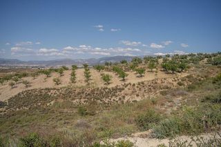 Terreno en venta en Alhendín
