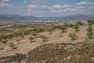 Terreno en venta en Alhendín